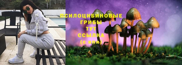 бошки Алексин