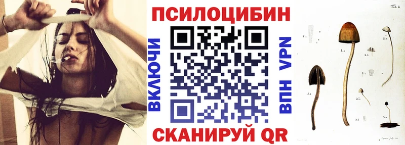 дарнет шоп  OMG   Галлюциногенные грибы Psilocybine cubensis  Петушки 